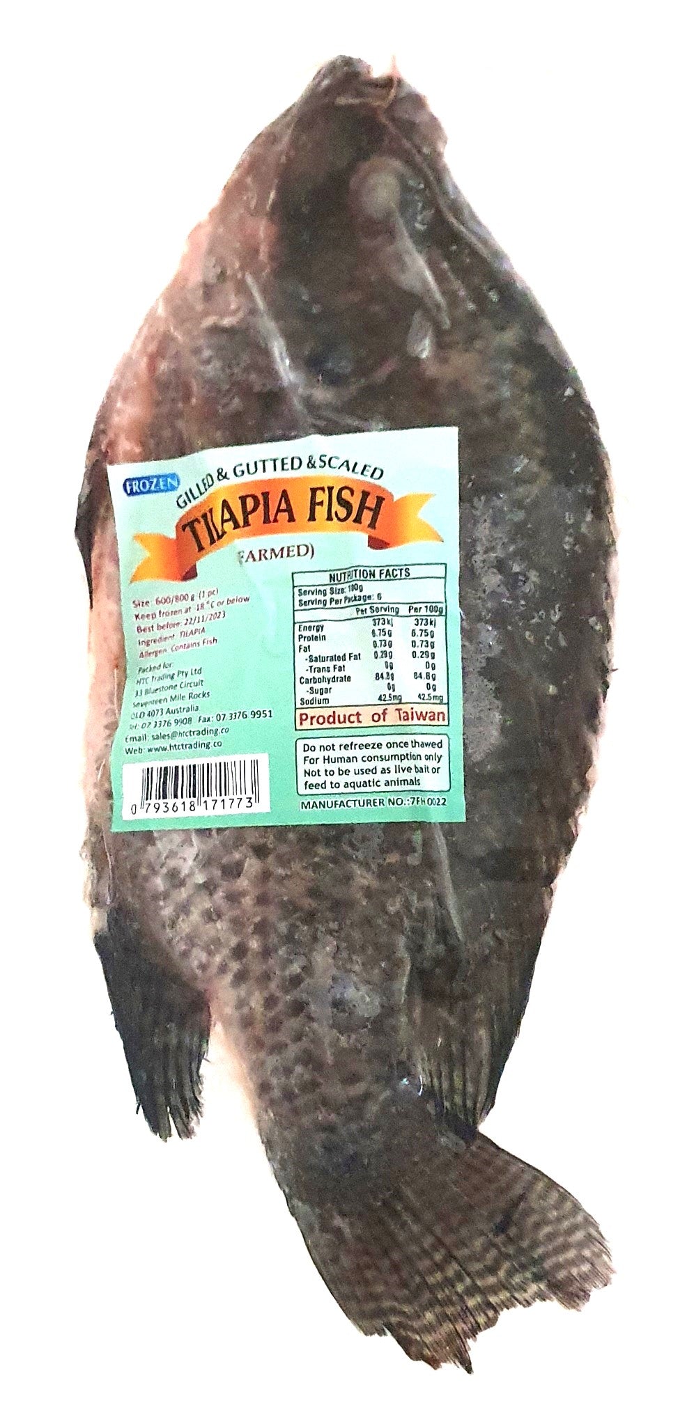 Frozen Tilapia