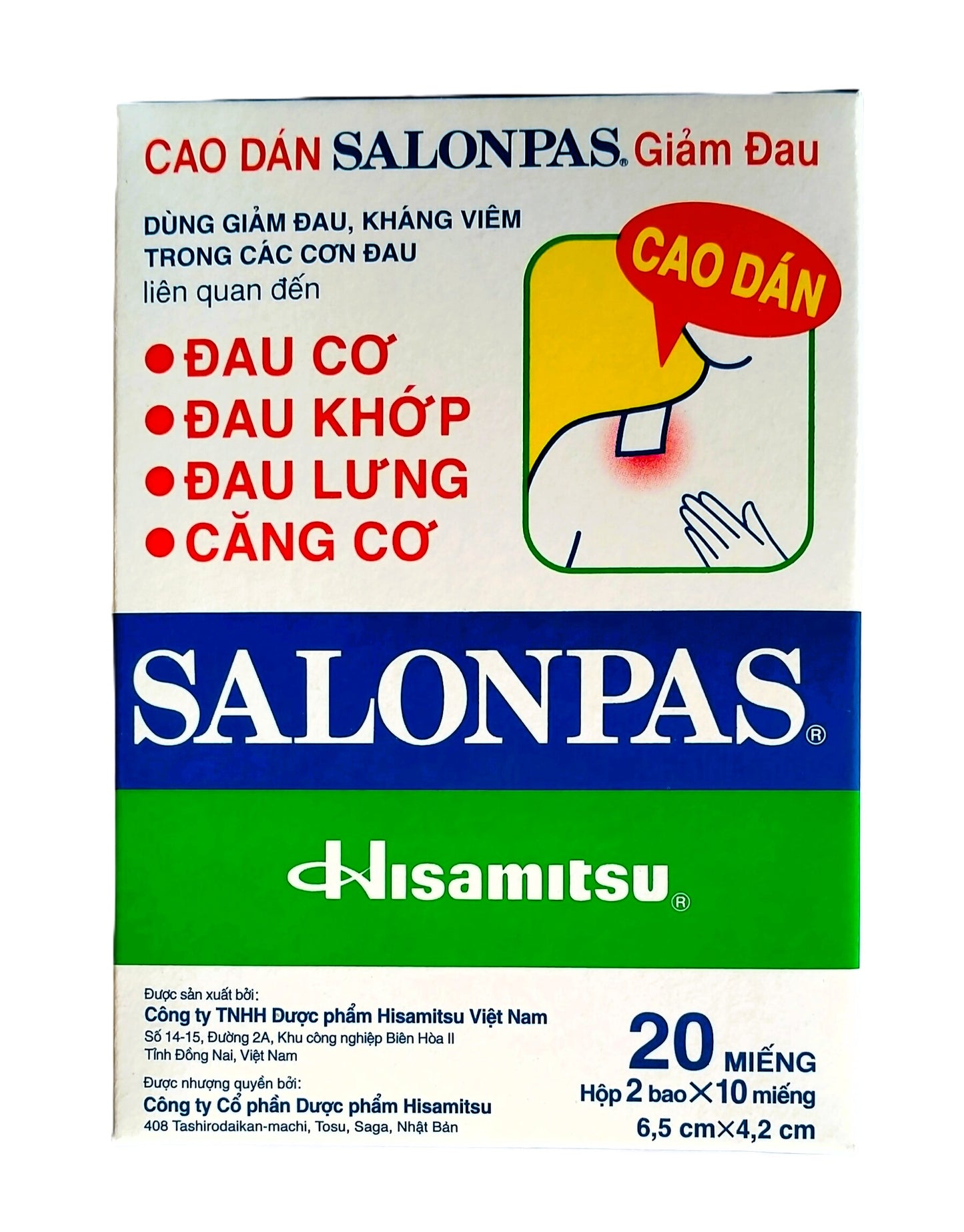 Salonpas 10packsx20Sheets