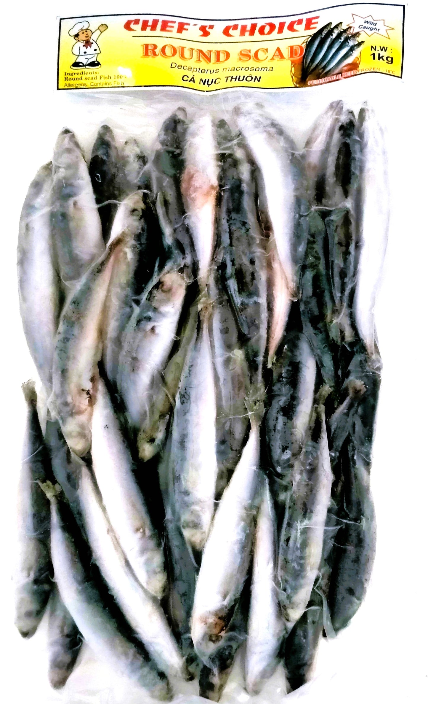 Frozen Roundscad (Small30-50) 10x1kg